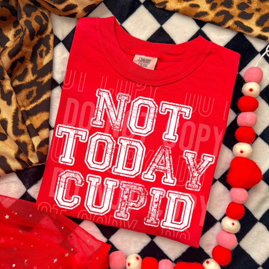 Not Today Cupid