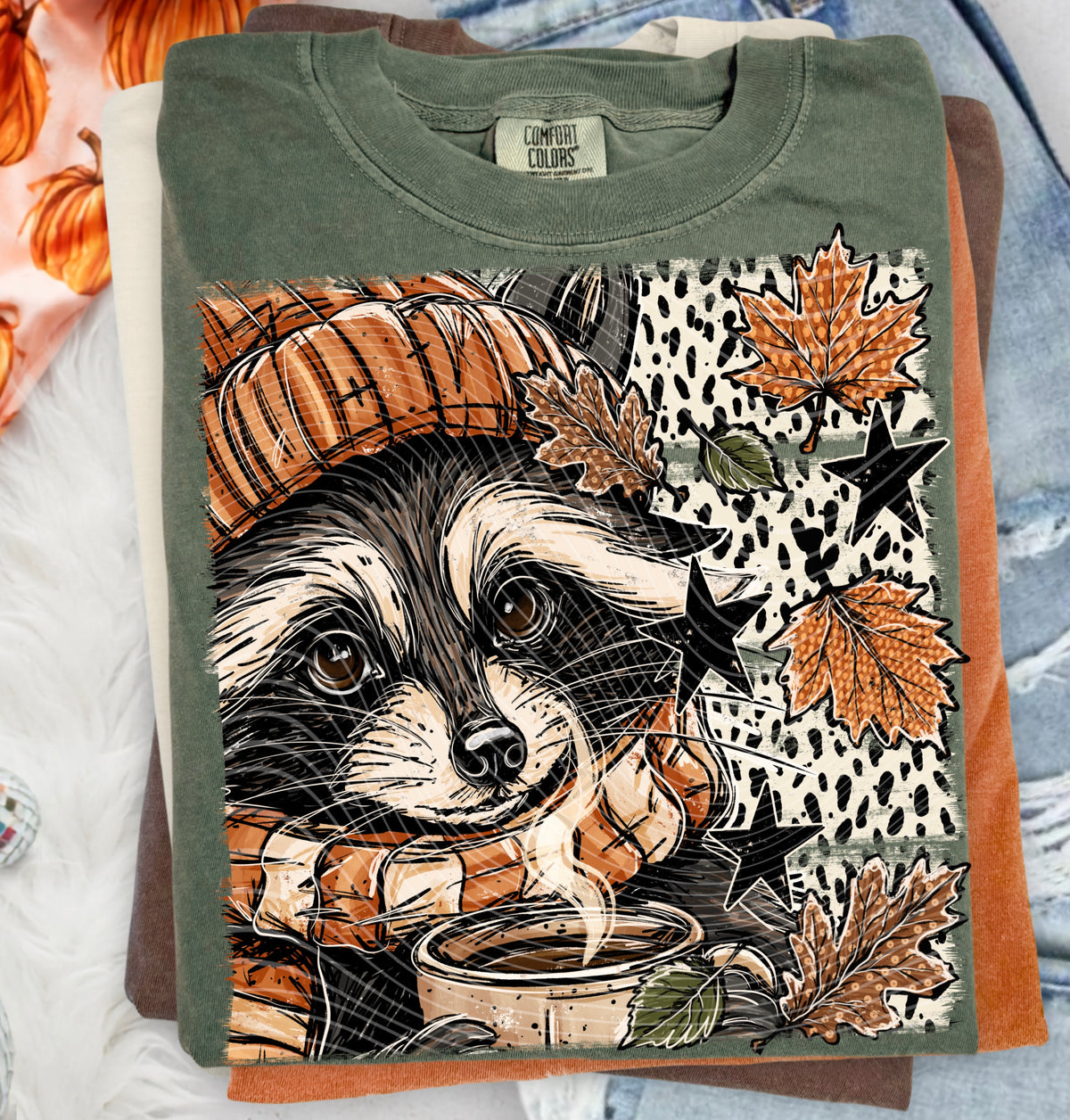 Fall Raccoon
