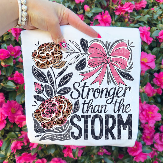 Stronger Than The Storm