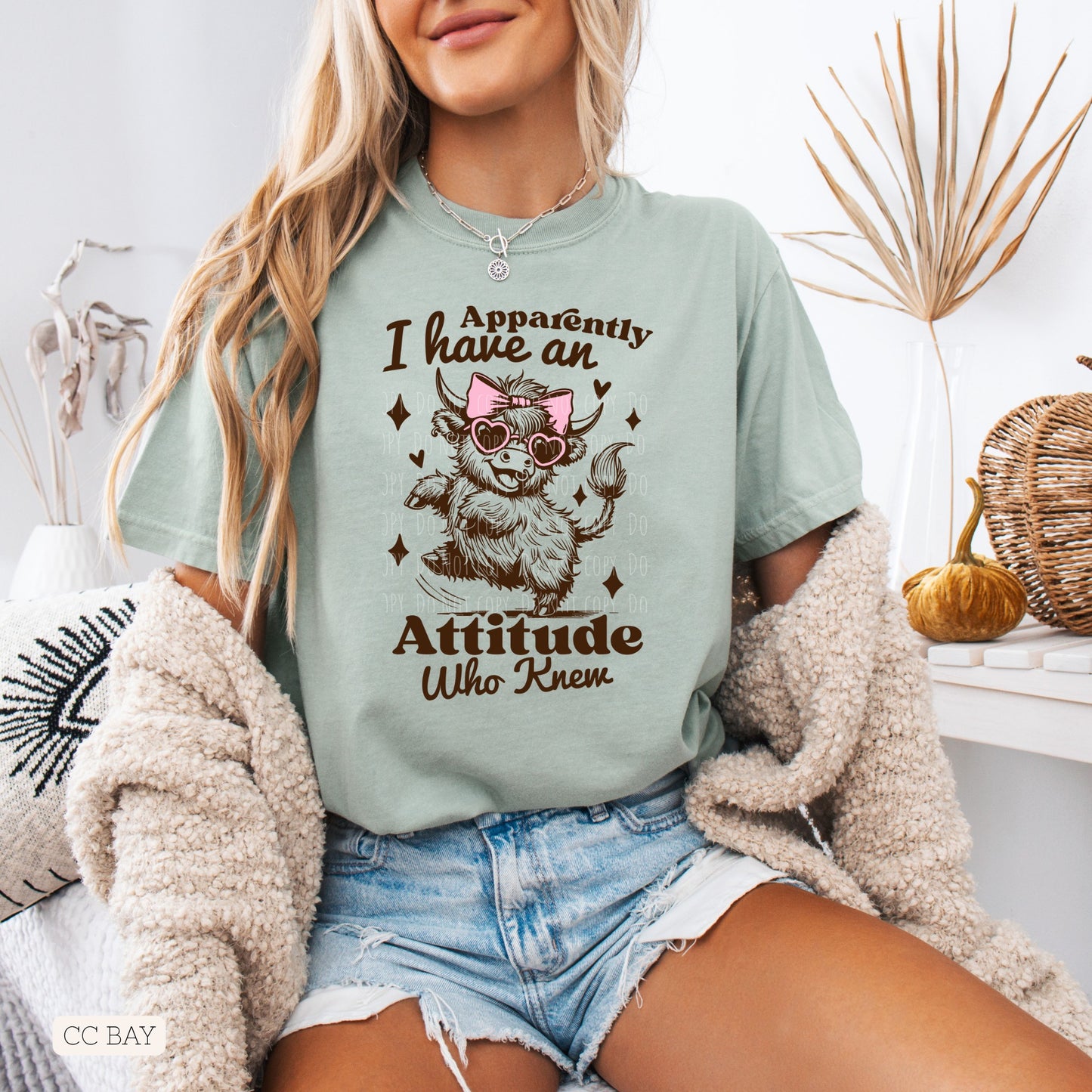 Apparently I Have An Attitude