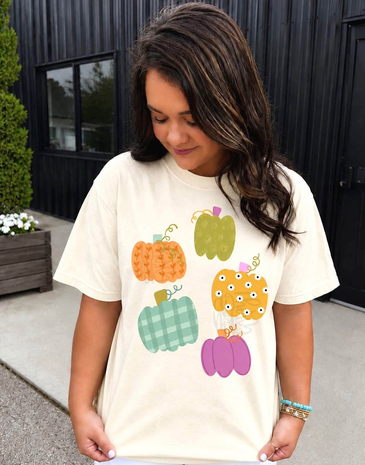 Colorful Pumpkin Assortment