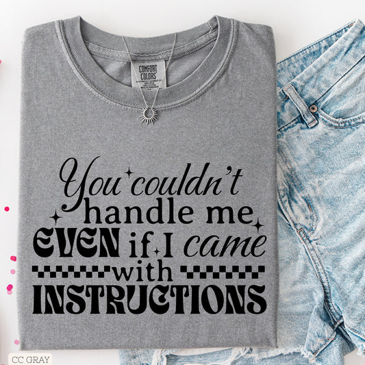 You Couldn't Handle Me, Even If I Came With Instructions