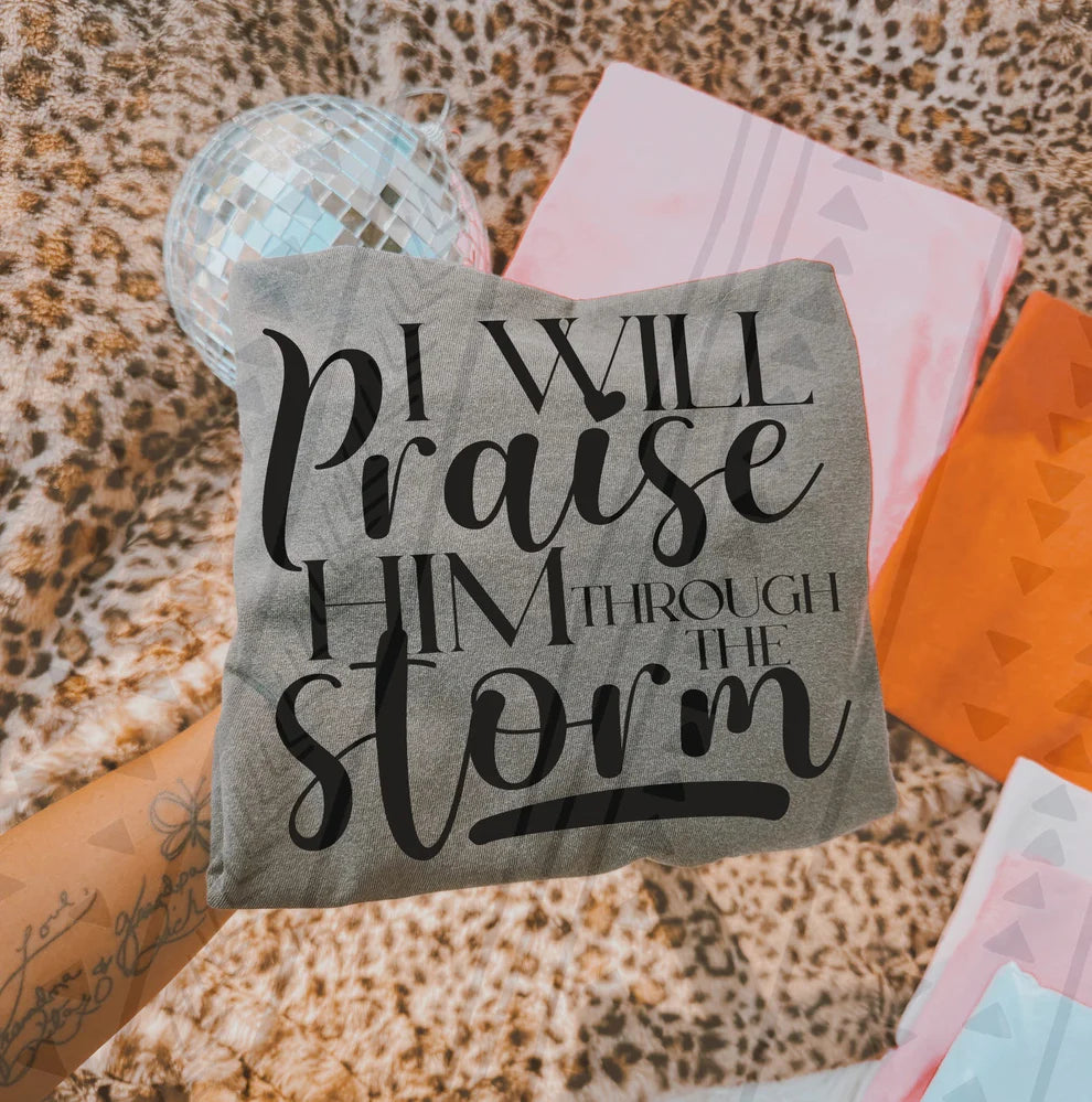I Will Praise Him Through The Storm