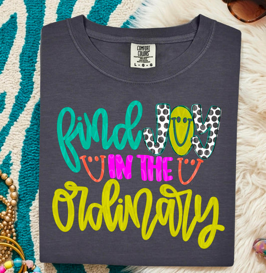 Find Joy In The Ordinary