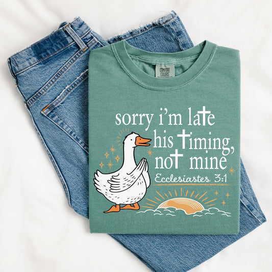 His Timing Not Mine