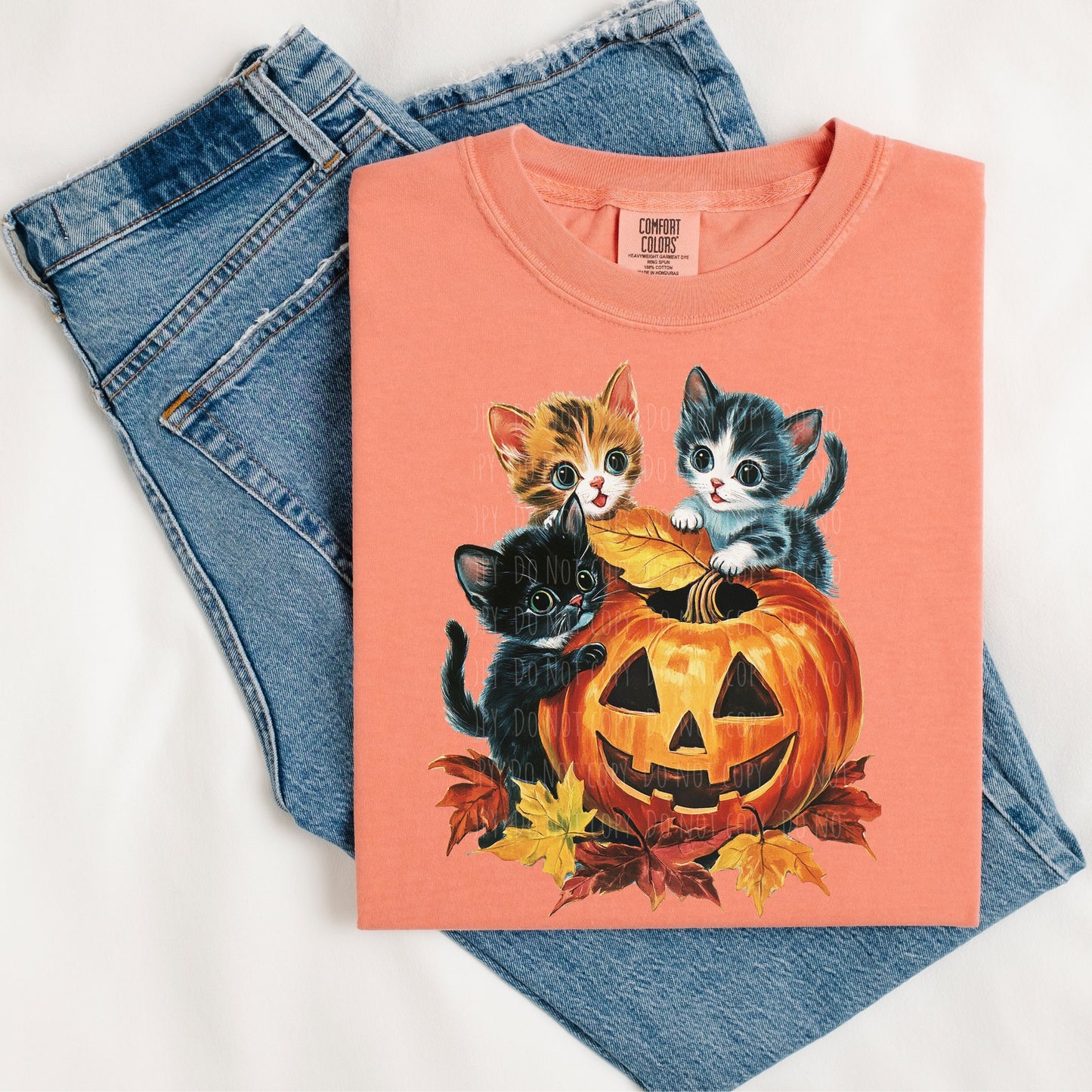 Kitten Pumpkin