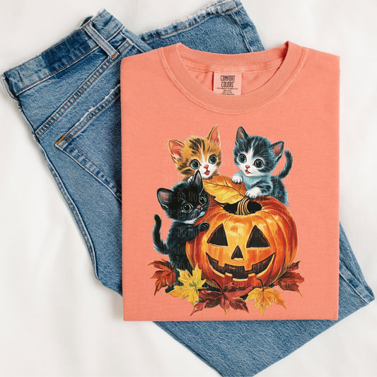 Kitten Pumpkin