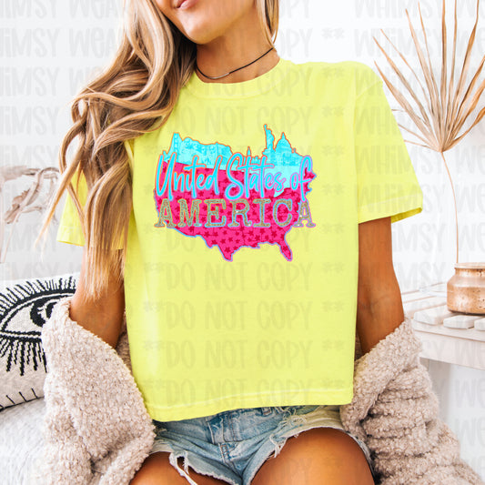 United States of America Neon