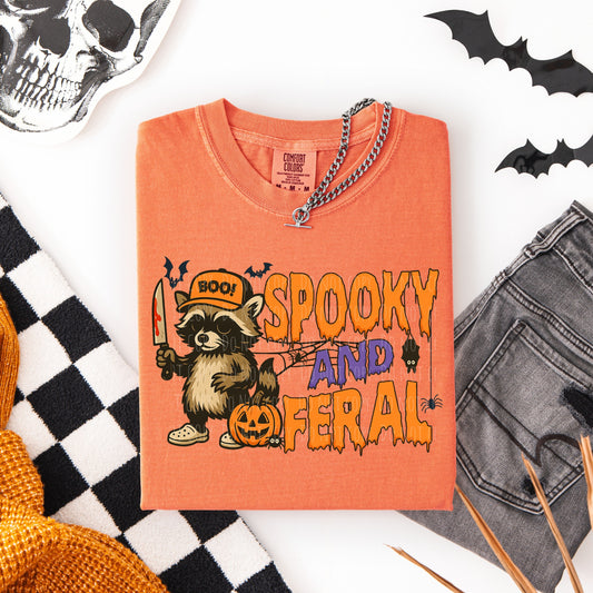 Spooky Feral Racoon