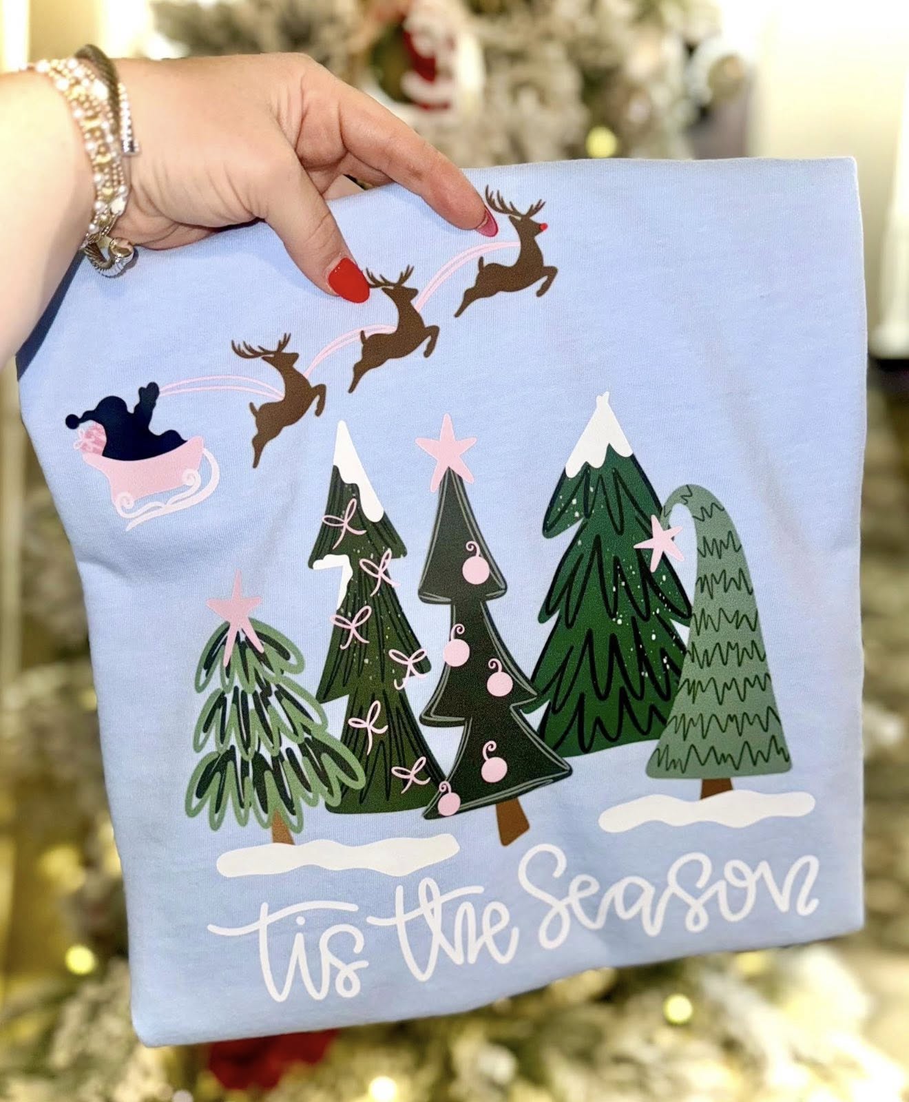 Tis The Season Santa Sleigh