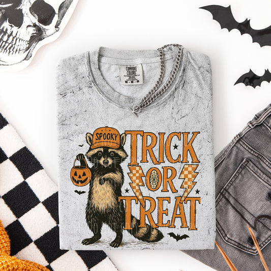 Trick or Treat Coon