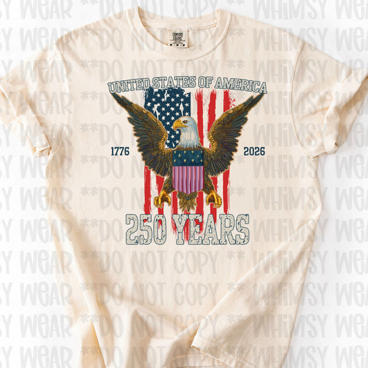 USA 250 Flag