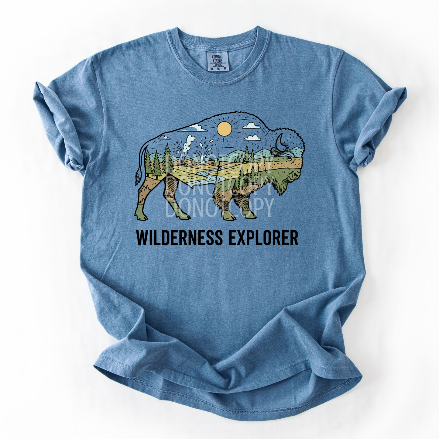 Wilderness Explorer