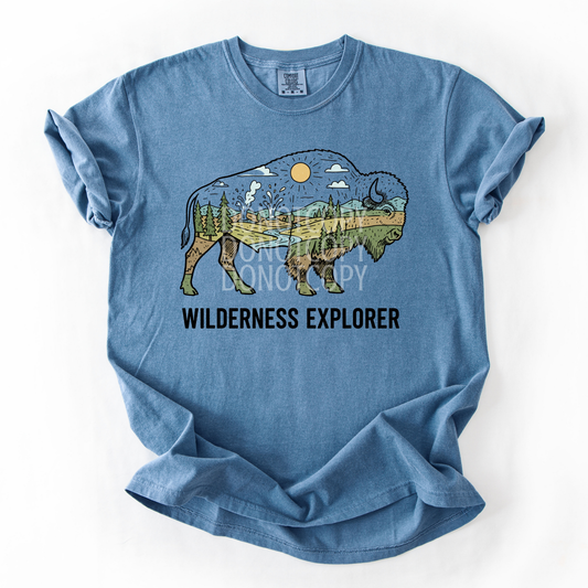 Wilderness Explorer